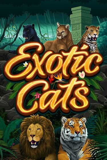 Exotic Cats бесплатная демо игра онлайн казино | Покер Дом