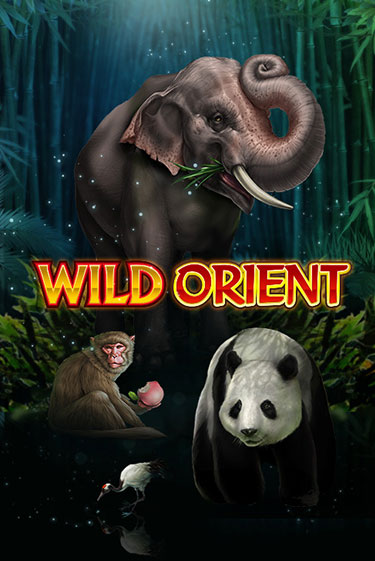 Wild Orient бесплатная демо игра онлайн казино | Покер Дом